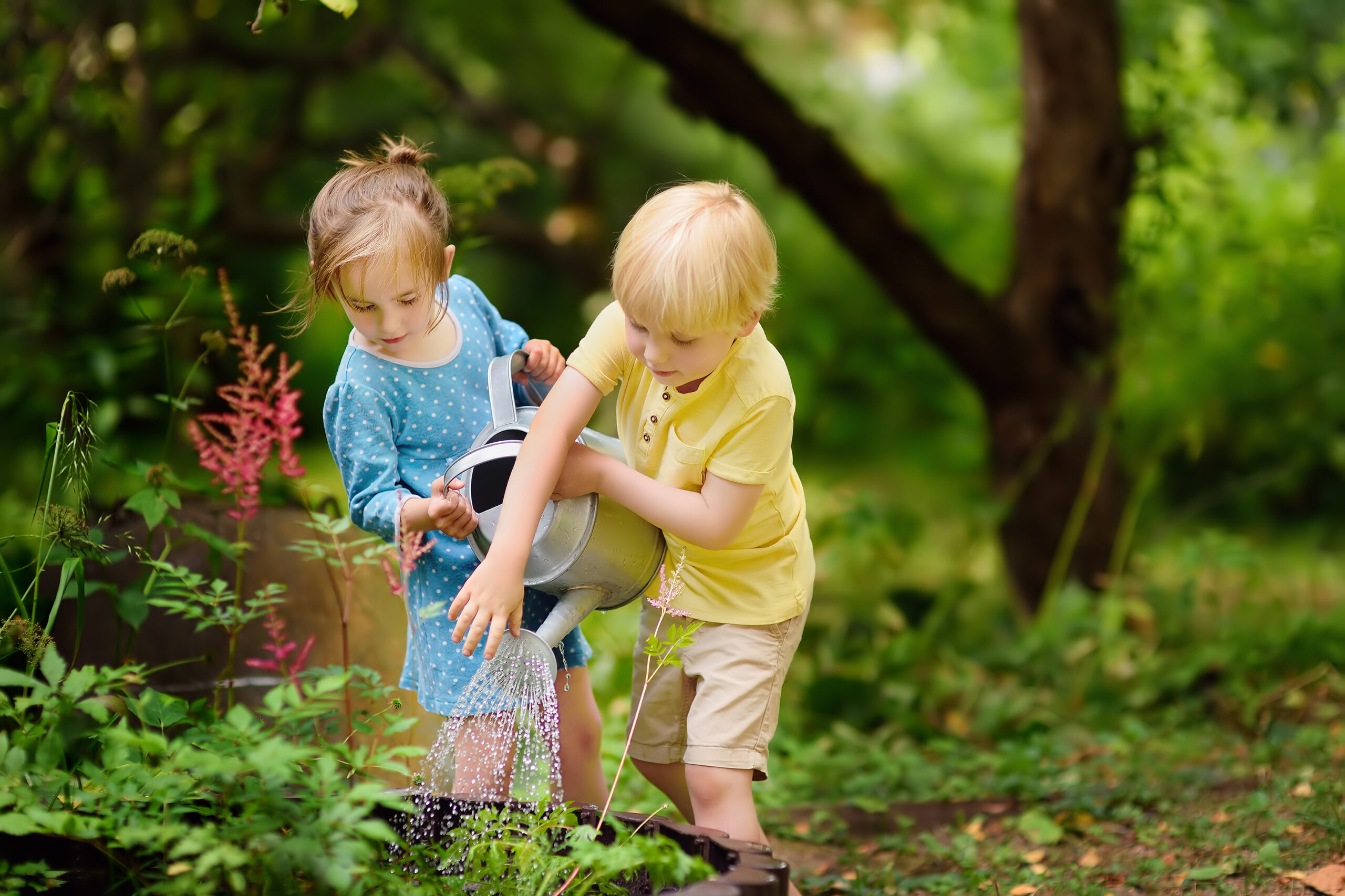 little boy and girl watering plants in the garden
